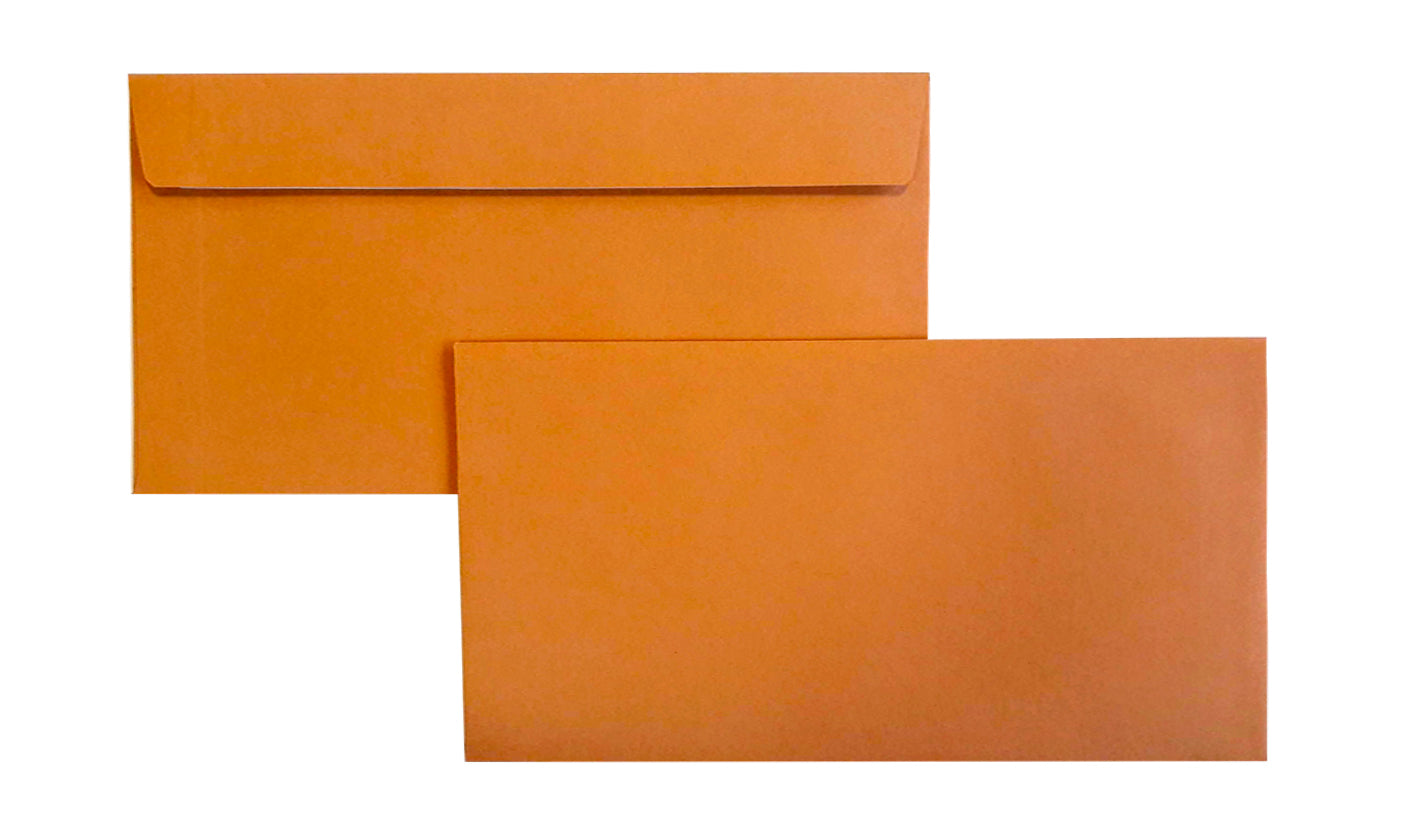 Enveloppes DL-110x220 Velin 120g Marron